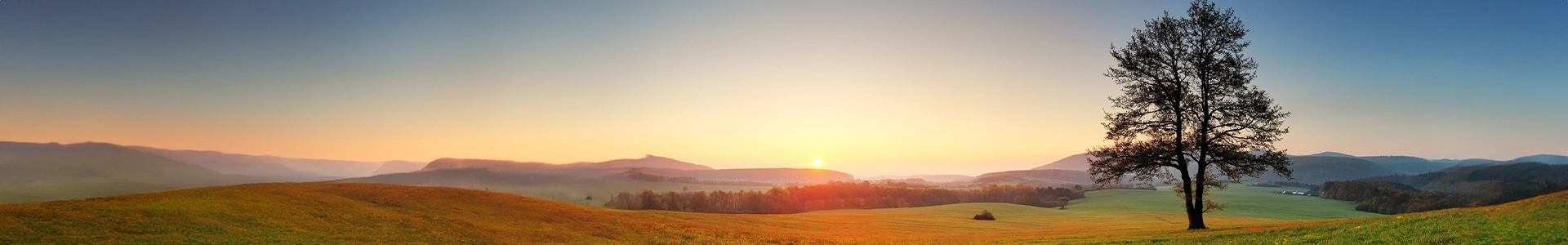 sunrise landscape